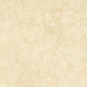 1669096170189303.jpg FS4065.jpg