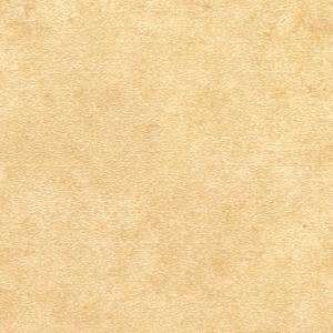 1669096175189926.jpg FS4066.jpg