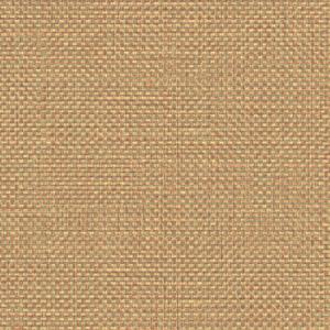 1669096236789653.jpg FS4080.jpg