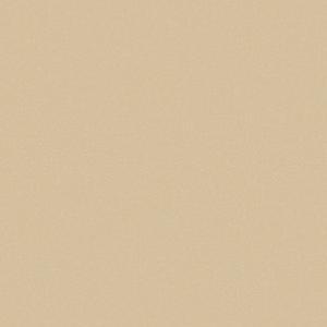 1669096546206856.jpg 25FL1009.jpg